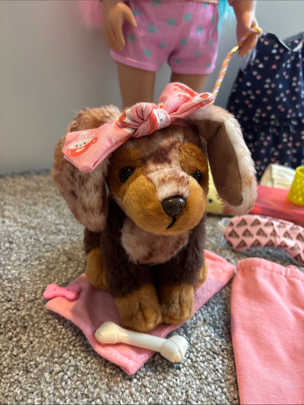 Our Generation Bundle: Comes with Doll, Dog and Accessories - Picture 3 of 8